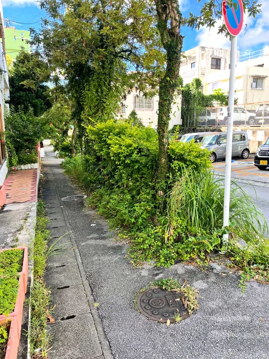 画像813