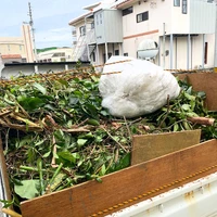 画像859