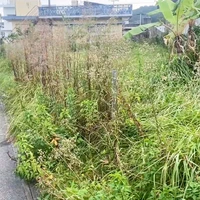 画像863