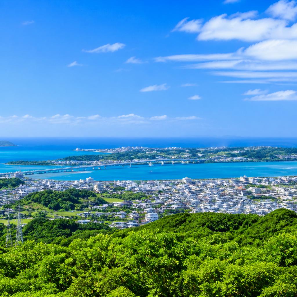 うるま市での専門的なサービス